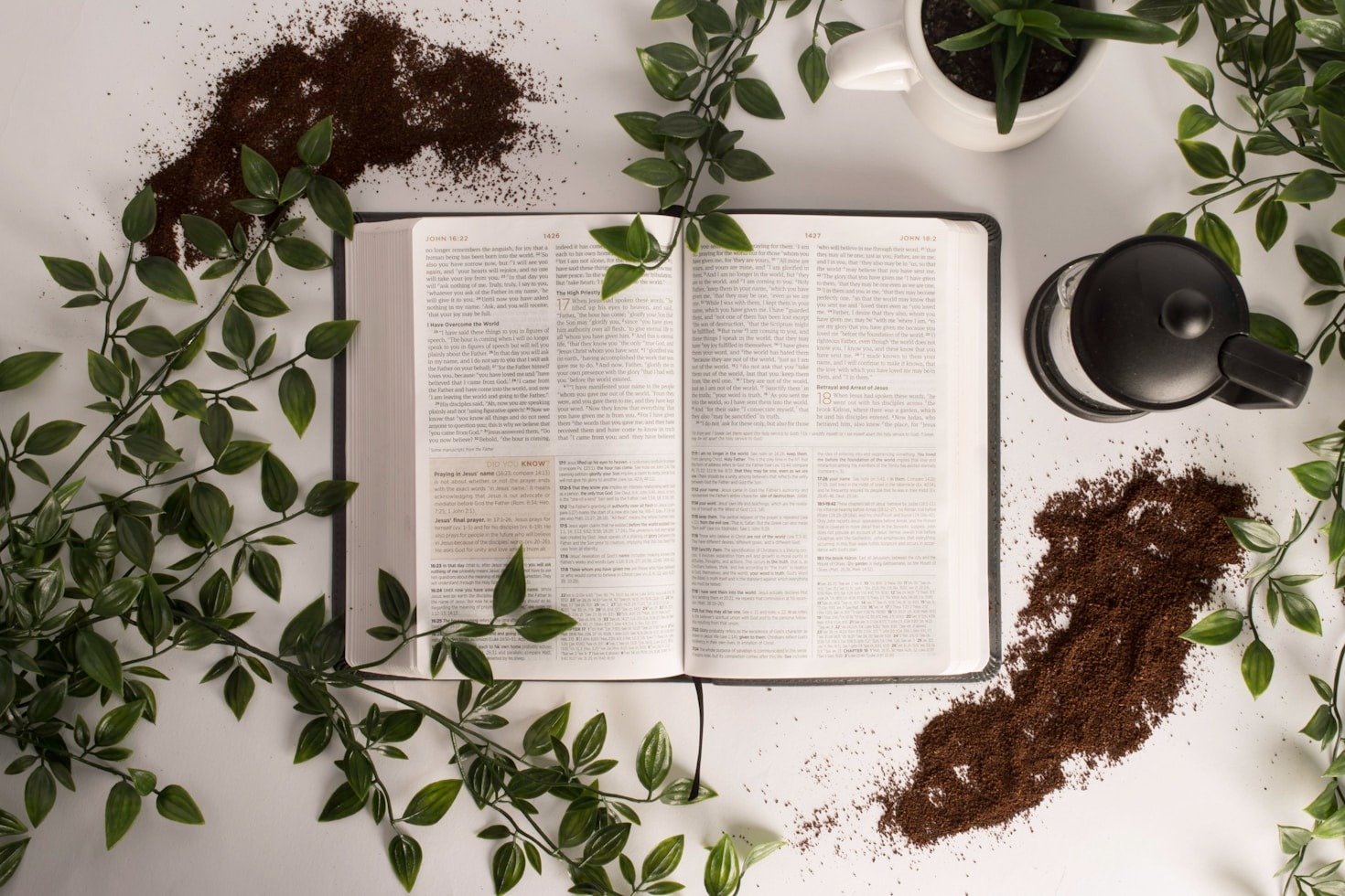 Crescimento Espiritual: Um Guia para Iniciantes